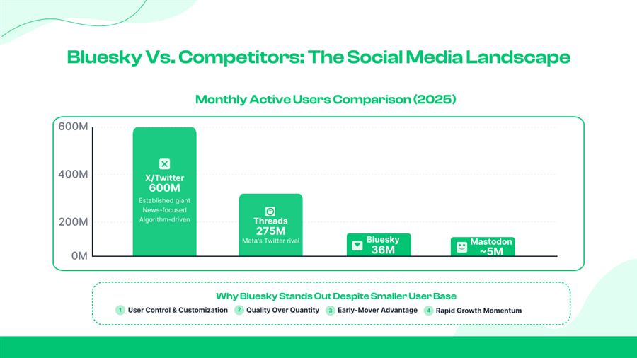 Bluesky vs other platforms infographic
